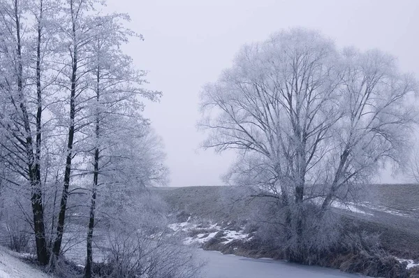 Frost winter landscape — Stock Photo, Image