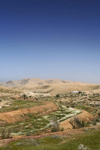 Campos Valle Santa Ines Fuerteventura Ilhas Canárias — Fotografia de Stock