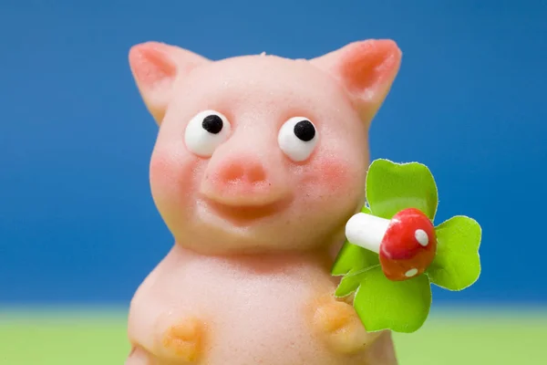 Lucky Charm Pig Marzipan — Stock Photo, Image