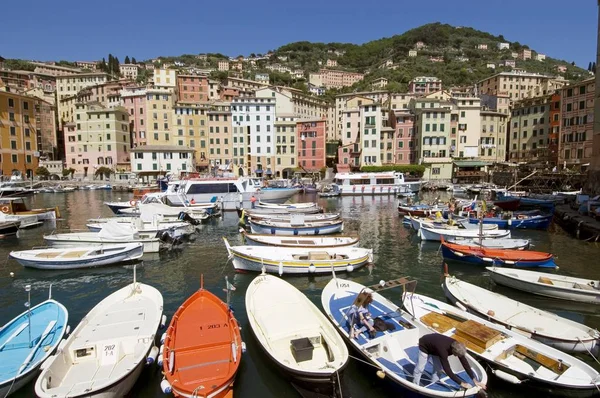 Portofino Yakınlarında Camogli Riviera Levante Liguria Talya — Stok fotoğraf