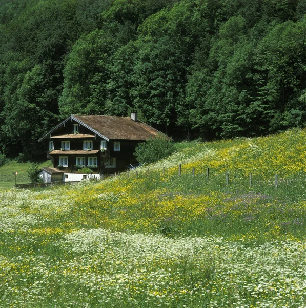 シュヴィーツ州スイス連邦共和国の Muota 渓谷カントン リート近くの民家 — ストック写真