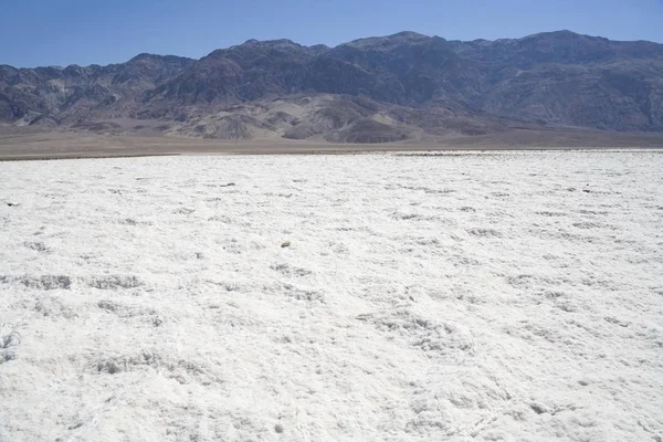Salt Skorpa Devil Gold Kurs Death Valley Kalifornien Usa Nordamerika — Stockfoto