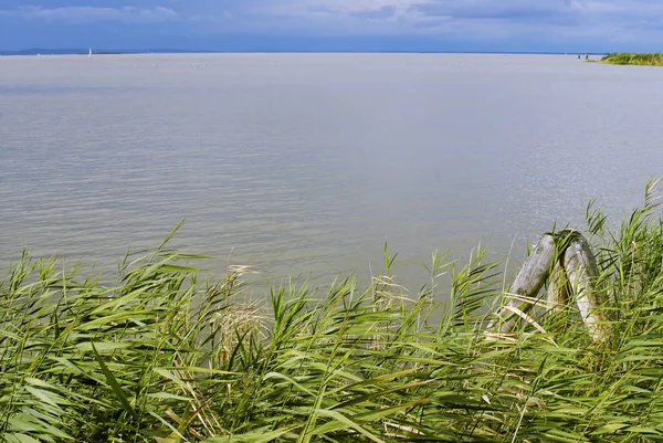 Neusiedler See Neusiedler See Bij Moerbisch Burgenland Oostenrijk — Stockfoto