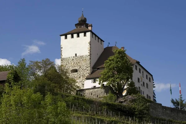 Castle Werdenberg Werdenberg Buchs Rhine Valley Canton Gallen Switzerland — Stock Photo, Image
