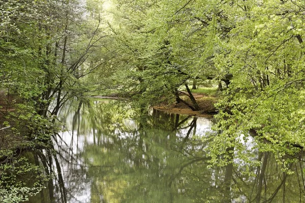 Schwarze Laaber Oberpfalz — Stockfoto