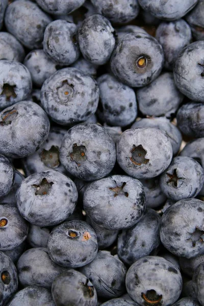 Closeup Fresh Natural Bilberrys — Stock Photo, Image