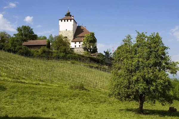 Château Werdenberg Dessus Werdenberg Buchs Dans Vallée Rhin Canton Saint — Photo