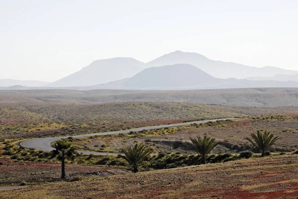 Liggande Nära Tuineje Fuerteventura Kanarieöarna — Stockfoto