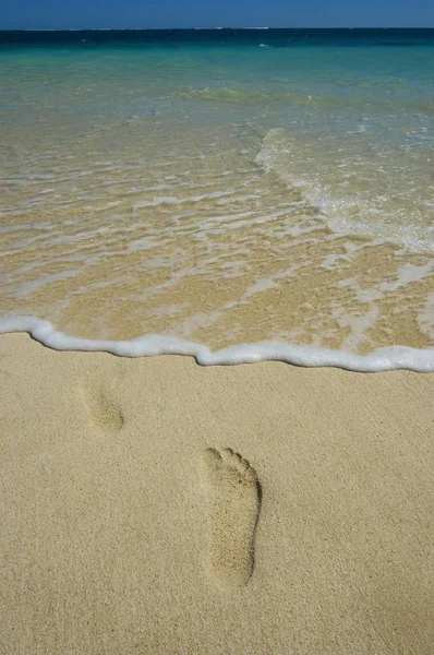 Zbliżenie Ślady Plaży — Zdjęcie stockowe