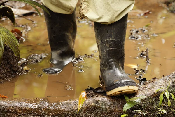 Caminho Lamacento Floresta Tropical Bota Borracha Costa Rica América Norte — Fotografia de Stock