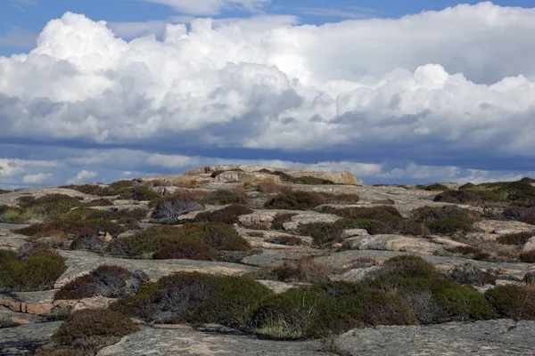 Τοπίο Γρανιτένιους Βράχους Στο Της Σουηδικής Ακτής Της Βαλτικής Θάλασσας — Φωτογραφία Αρχείου