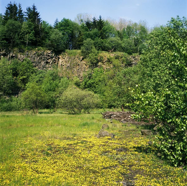 Naturschutzgebiet Lange Rhoen Rhoen Bei Oberelsbach Unterfranken Deutschland Basaltsäulen Steinernes — Stockfoto