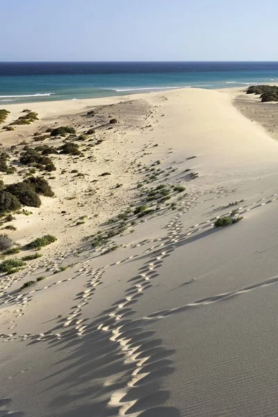 Дюна Risco Del Paso Playa Sotavento Jandia Fuerteventura Канарские Острова — стоковое фото