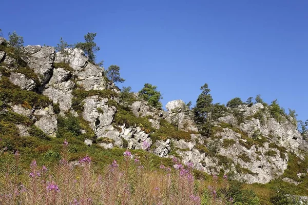 Pfahl Rockt Bei Viechtach Bayerischer Wald Bayern Deutschland — Stockfoto