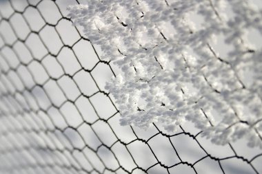 Hoarfrost on a wire-mesh fence, winter  clipart