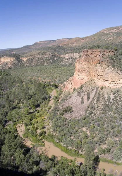 Foresta Nazionale Apache Sitgreaves Riserva Indiana Apache Montagna Bianca Arizona — Foto Stock