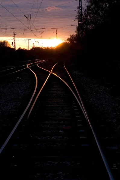 Rail tracks at sunset — Stock Photo, Image