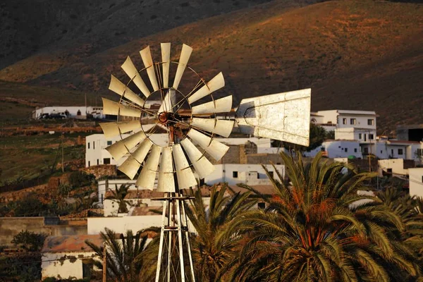 Vatten Väderkvarn Toto Nära Pajara Fuerteventura Kanarieöarna — Stockfoto
