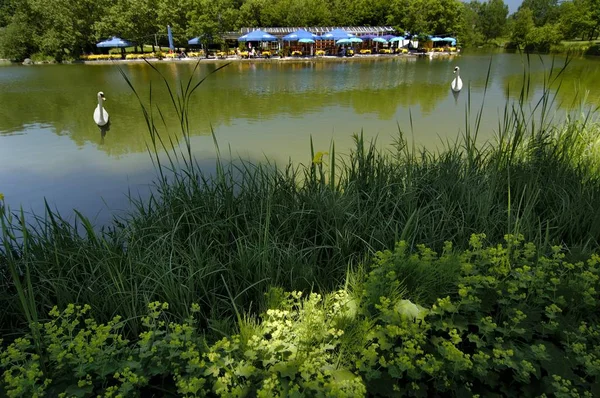 Göl Restoran Westpark Münih — Stok fotoğraf