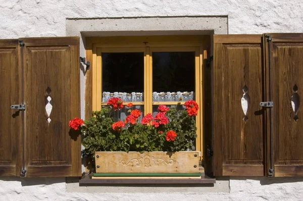 Fenêtre Avec Fleur Luckner House Gross Glockner Kals Easttyrol Tyrol — Photo