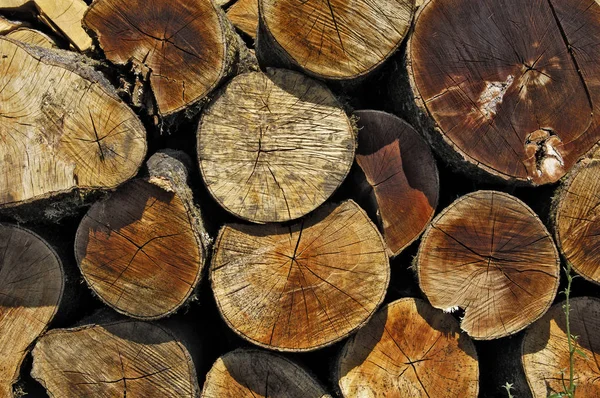 Woodpiles Ved Närbild Skott — Stockfoto