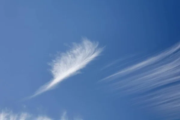 青空に白い雲 — ストック写真