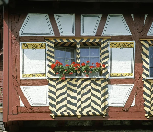 Hagenwil City Amriswil Canton Thurgau Swizzerland Moated Castle Window Flowers — Stock Photo, Image