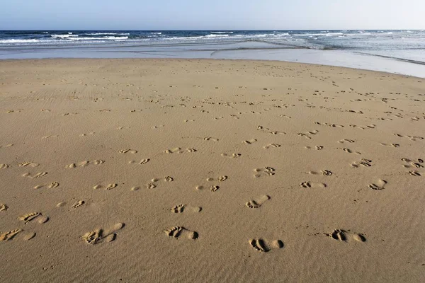 Fotavtryck Fotavtryck Playa Sotavento Jandia Fuerteventura Kanarieöarna — Stockfoto