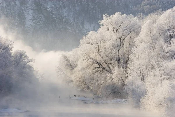 Frosty Loisach river — ストック写真