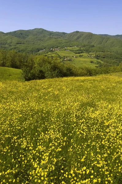 Uitzicht Vanaf Straat Pass Cento Croce Ligurische Zee Alpen Ten — Stockfoto