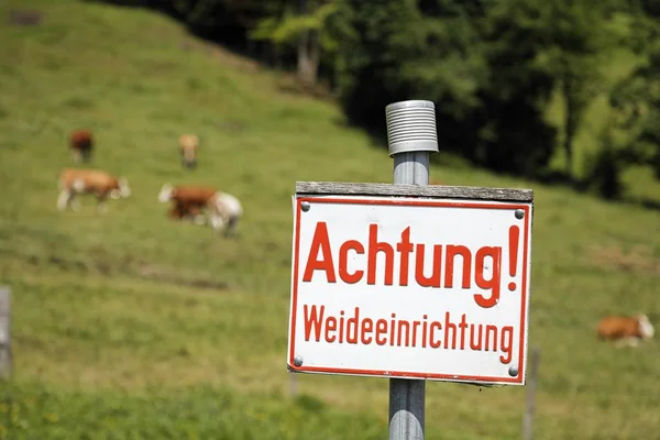 Znak Achtung Weideeinrichtung Pozor Dobytek Mřížky Horní Bavorsko Německo Evropa — Stock fotografie