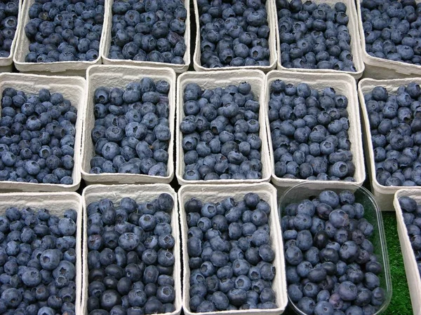 Many Bowls Bilberries Market — Stock Photo, Image