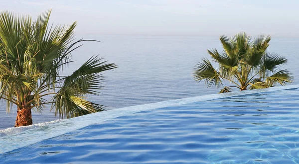 游泳池和棕榈树 — 图库照片