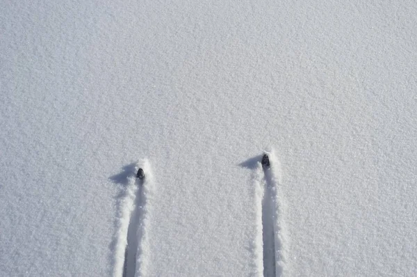 Snö marken med Ski tips — Stockfoto