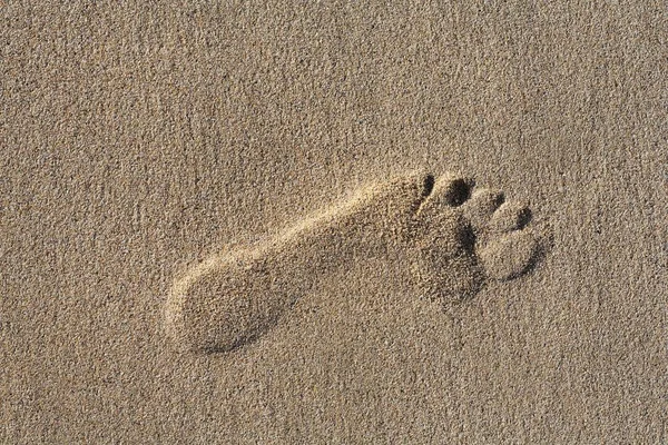 Odciski Stóp Ślady Piaszczystej Plaży Fuerteventura Wyspy Kanaryjskie — Zdjęcie stockowe