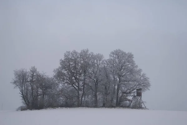 Hochsitz Mit Bäumen Winter — Stockfoto