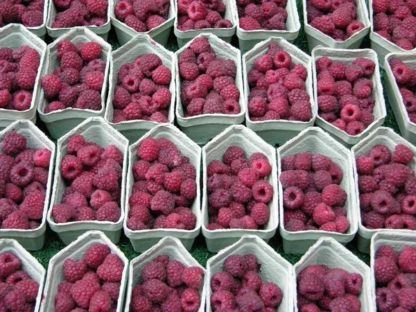 Many Bowls Raspberries Market — Stock Photo, Image