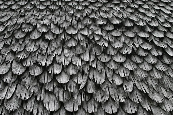 Płyty Dachowe Tekstura Tło — Zdjęcie stockowe