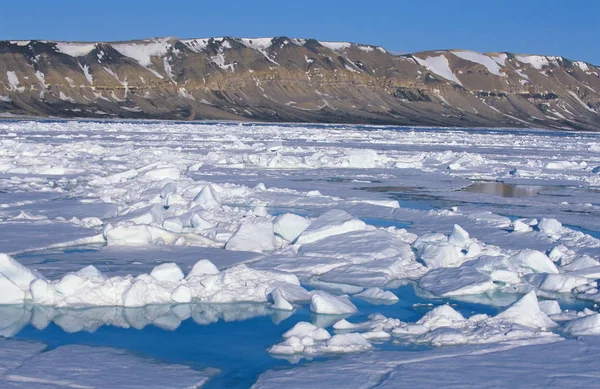 Drift Ledu Hinlopen Průlivu Swalbard Spitzberge Arcita — Stock fotografie
