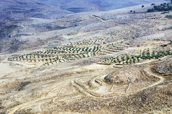 Jordan Mount Nebo Jordan Plantasyon Nehri Nin Madaba Kasaba Valley — Stok fotoğraf