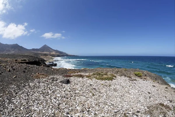 Deniz Kabuğu Çöplüğü Playa Cofete Jandia Fuerteventura Kanarya Adaları — Stok fotoğraf