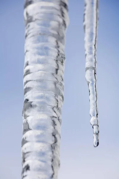 Melting icicles em tempo de inverno — Fotografia de Stock