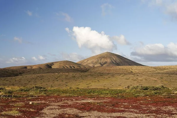 Tuineje Gröna Landskapet Med Berg — Stockfoto