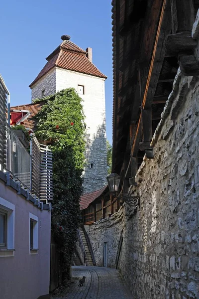 Defense Wall Berching Upper Palatinate Bavaria Germany — Stock Photo, Image