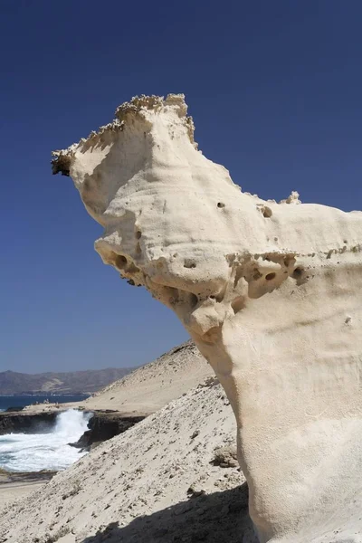 Erodierende Felsformation Kalkstein Istmo Pared Playa Barlovento Fuerteventura Kanarische Inseln — Stockfoto