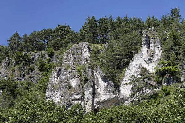 Skały Pobliżu Schnhofen Dolina Laber Górny Palatynat Niemcy Bavaria — Zdjęcie stockowe