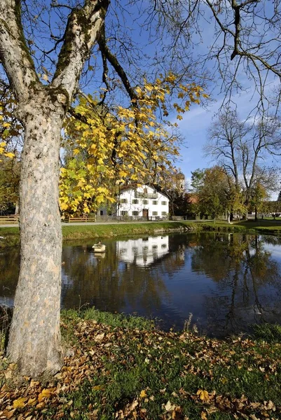 Oberlaindern District Miesbach Övre Bayern Tyskland Byn Dammen Med Dotter — Stockfoto