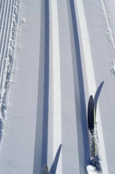 Snow ground with Ski tips — Stock Photo, Image