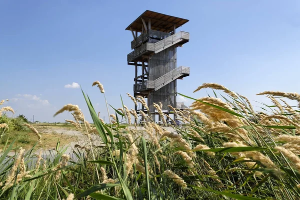 Aussichtsturm Ostufer Des Neusiedler Sees Neusiedler See Zwischen Podersdorf Und — Stockfoto