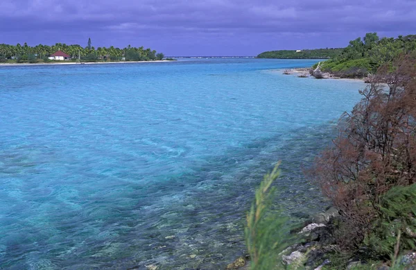Acqua Limpida Nella Passe Caledonie Ouvea Nuova Caledonia Oceania — Foto Stock